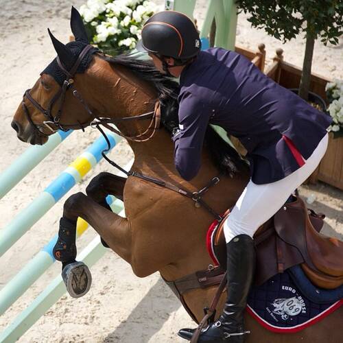 Regina Z retired from competitions