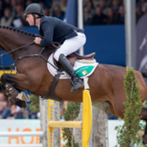 KWPN, IRISH AND ZANGERSHEIDE STUDBOOKS CLAIM 2016 FEI WORLD BREEDING JUMPING TITLES
