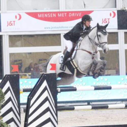 NEW HORSES FOR ASHFORD FARM AND LUCIANA DINIZ