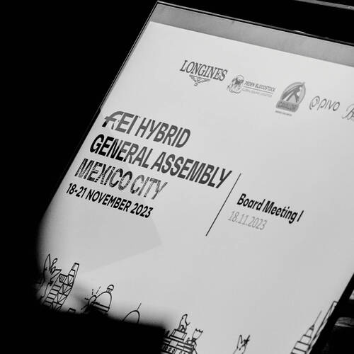 FEI Hybrid General Assembly 2023, Mexico City (MEX)