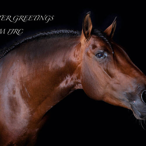 Easter Greetings from the International Jumping Riders Club