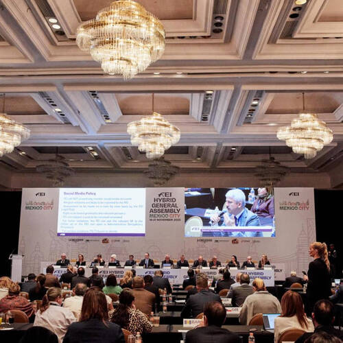 FEI Delegates gather for a day of Sessions at General Assembly