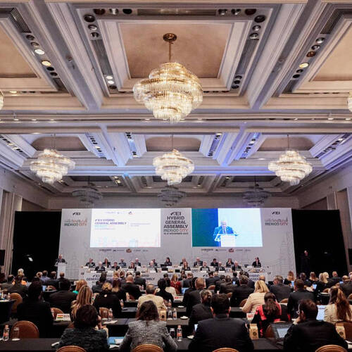 FEI Hybrid General Assembly 2023 and in-person FEI Board Meeting – summary of decisions
