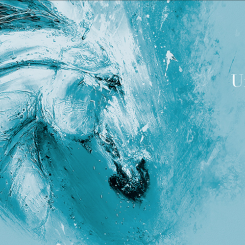 FIERACAVALLI 2020: THE PRIME MINISTER’S LATEST DECREE OBLIGES CANCELLATION OF ITALY’S LARGEST EQUESTRIAN EVENT.