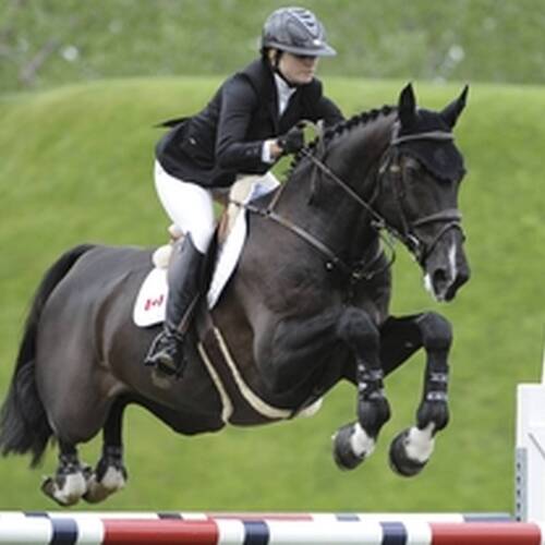 Artisan Farms Acquires Tripple X III