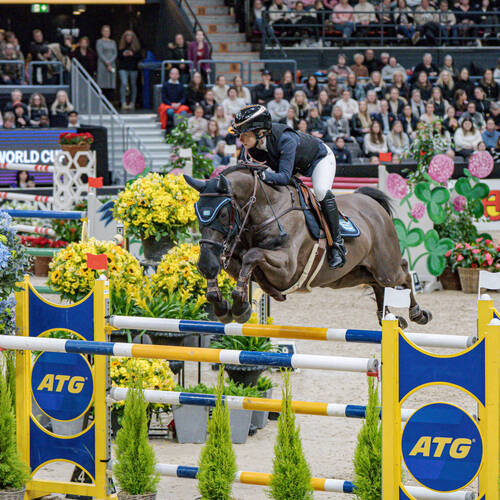 Heed delights home crowd in Gothenburg