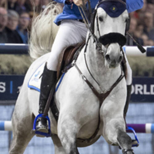 GERMANY’S AHLMANN IS THE MASTER AT MECHELEN