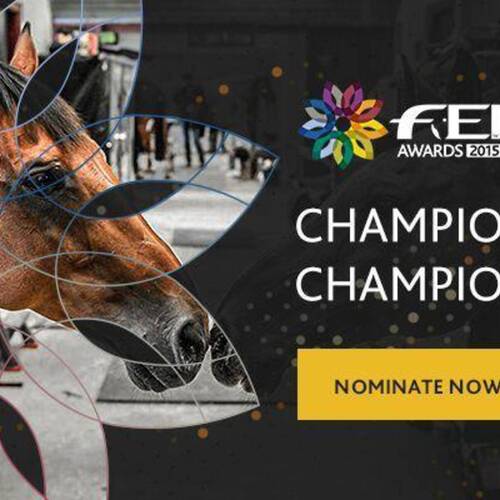 FEI AWARDS 2015: NEWLY CROWNED FEI EUROPEAN JUMPING CHAMPION JEROEN DUBBELDAM SAYS VOTE NOW!