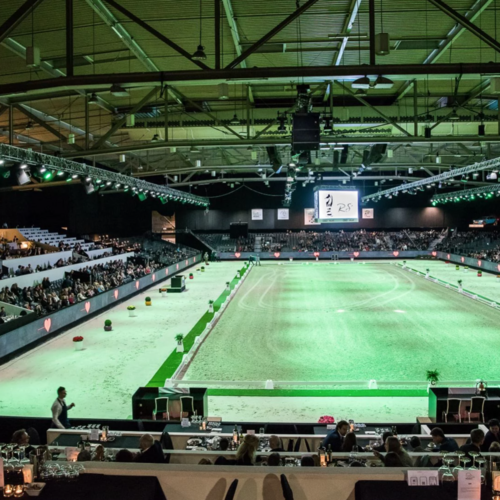 THE DUTCH MASTERS CANCELLED