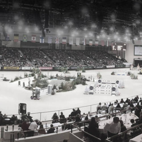 PAST, PRESENT AND FUTURE CHAMPIONS IN GENEVA