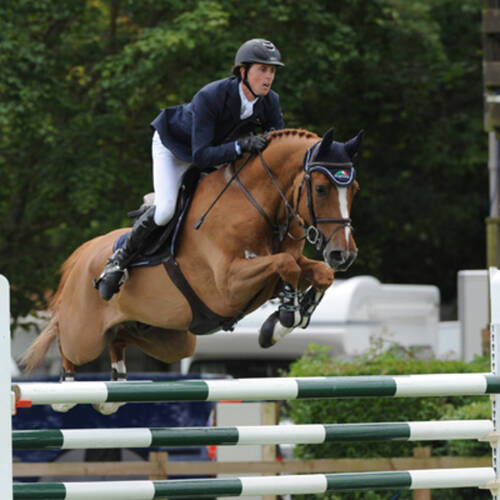 Bertram Allen takes on exciting new ride 