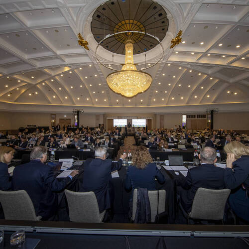 FEI General Assembly, Antwerp: Food for thought