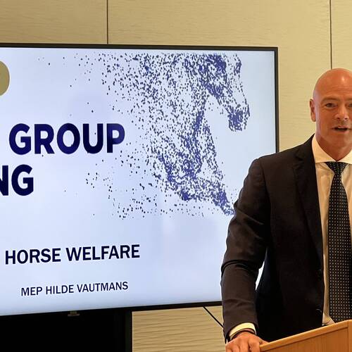 High welfare standards in jumping explained to European Parliament  by IJRC vice president