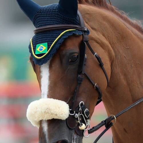 Pan American Games Lima 2019: Brazil’s hot streak continues as Modolo Zanotelli claims gold in Individual Jumping