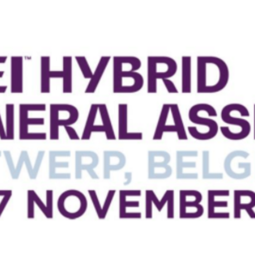 FEI Regional Groups Meetings – 15 November 2021