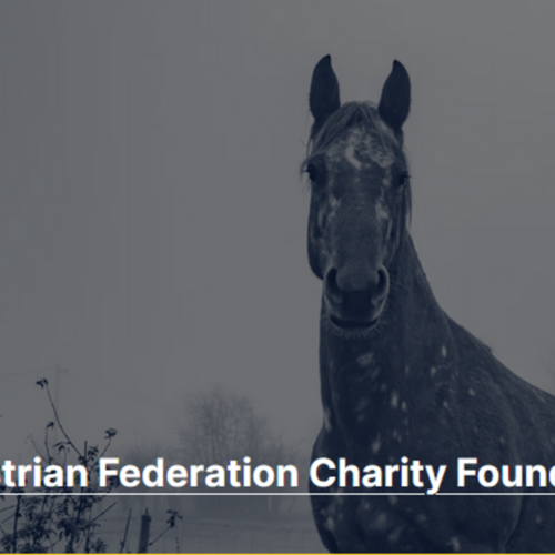 Ukrainian Equestrian Federation Charity Foundation