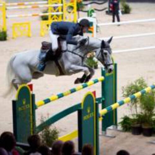 Kevin Staut Returns to 'S-Hertogenbosch to Defend His Grand Prix Title