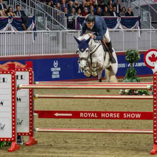  Bluman gives Gemma W a well-deserved win in Toronto