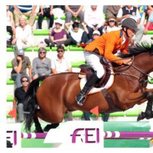 SFN HORSES, INCLUDING SFN ZENITH N.O.P., TO BE AVAILABLE TO VIEW AHEAD OF SALE