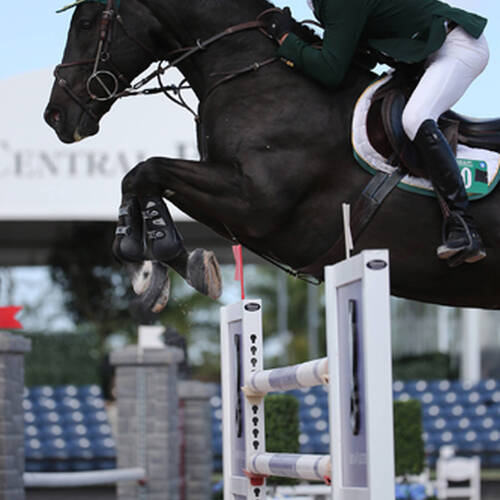 Richie Moloney and Alsvid Win $34,000 Suncast®  1.50m Championship Jumper Classic 