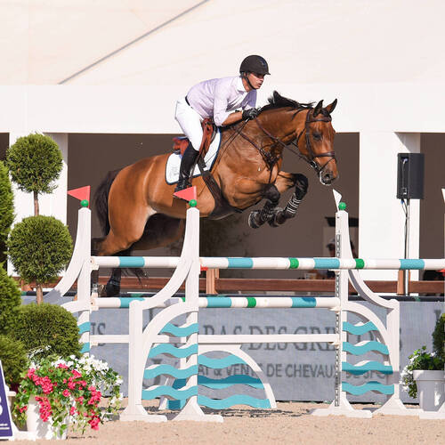 Rodrigo pessoa is back in the saddle