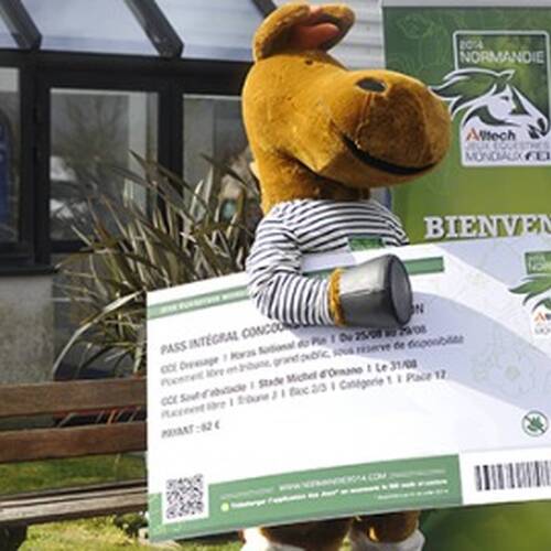 Alltech FEI World Equestrian Games™ 2014 in Normandy: Last phase of ticket sales gets off to a good start!