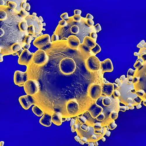 What is Equine Coronavirus?