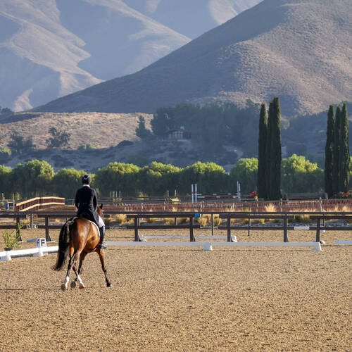Equestrian Center in Temecula proposed as new venue for LA28 equestrian events