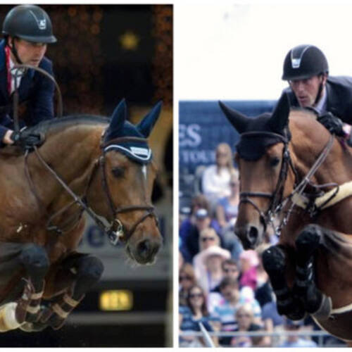 Injury in the box during the CSIO5 * St. Gallen