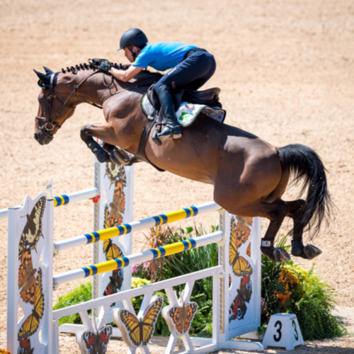 A BELIEVER AND THE HORSE OF A LIFETIME: STEPHAN BARCHA (BRA) AND LANDPETER DO FEROLETO