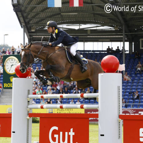 Sad news for Cassio Rivetti as Vivant is out of the Europeans