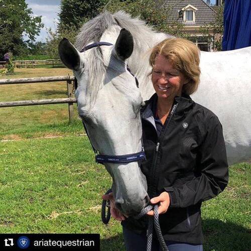 NEW HORSE FOR BEEZIE MADDEN