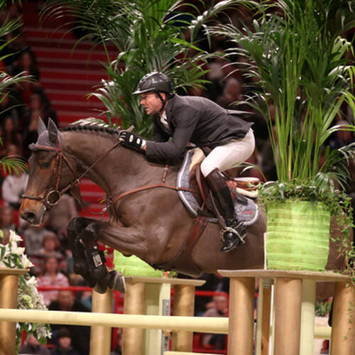 Lacrimoso 3 * HDC will not compete for a while