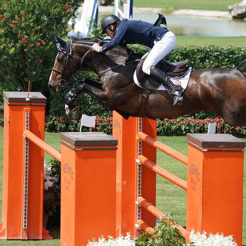 Daniel Coyle Clinches $50,000 Hermès Under 25 Grand Prix Final Win, Ailish Cunniffe Named Series Champion