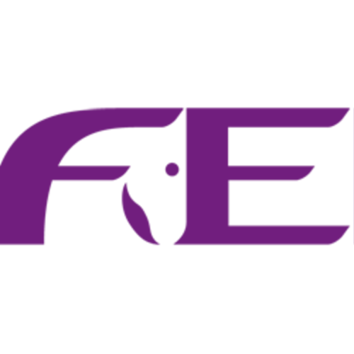 FEI Bureau Meeting: main decisions