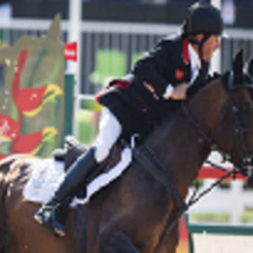 Olympic gold medallist Nick Skelton to appear at Wincanton