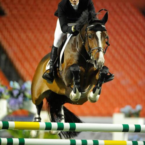 Beezie Madden and Coral Reef Via Volo Capture First Victory for $200,000 American Invitational, Presented by G & C Farm, at Sun Life Stadium Miami