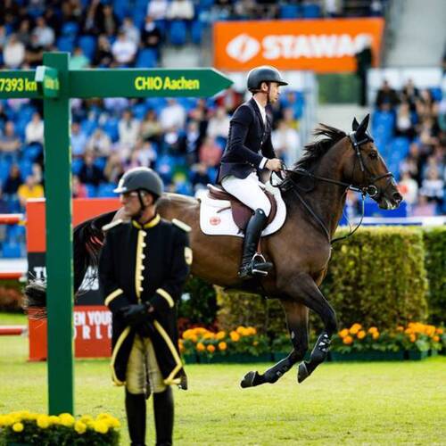 Horses and riders for CHIO Aachen