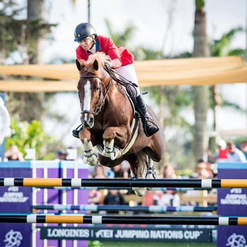 Beezie bags it for USA, but British girls are brilliant