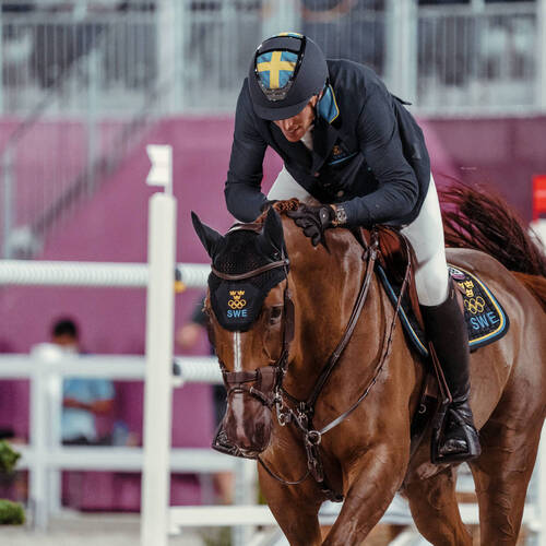 Sweden win equestrian jumping team gold