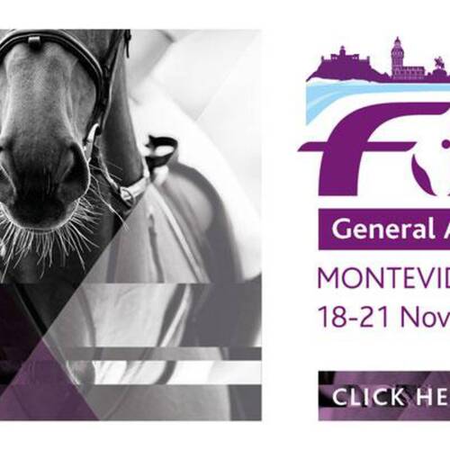 FEI General Assembly 2017