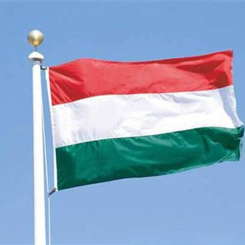 The Hungarian team for the European Championships