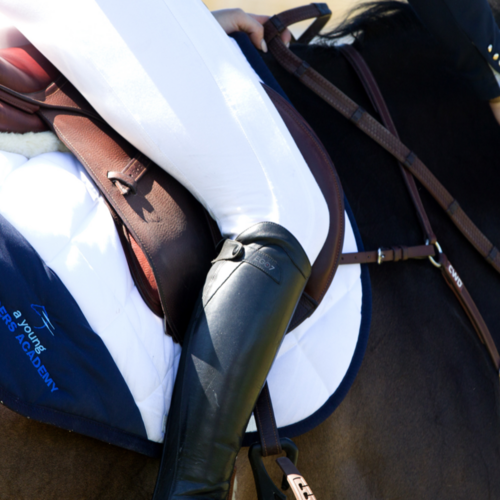 Young Riders Academy announces 2019 Team