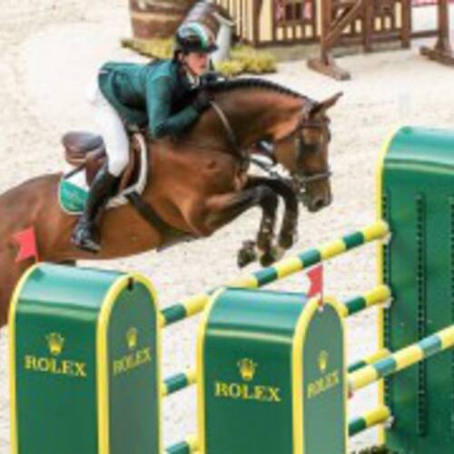 Splaine announces withdrawal of Imothep from European squad