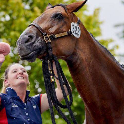 ECCO FEI World Championships in Herning sets bar high for Grooms