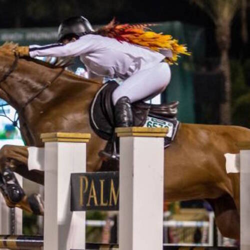 Palm Beach Equine Clinic Congratulates Danielle Goldstein on $391,000 CSI5* Grand Prix Victory