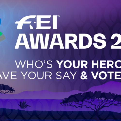 FEI Awards 2022