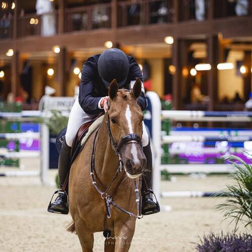 Von Eckermann and King Edward make it a dream double