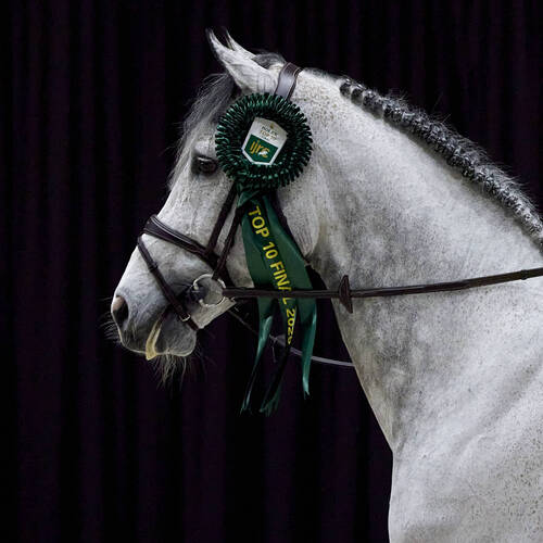 Highlights from the Rolex IJRC Top 10 Final 2025 - Part 2