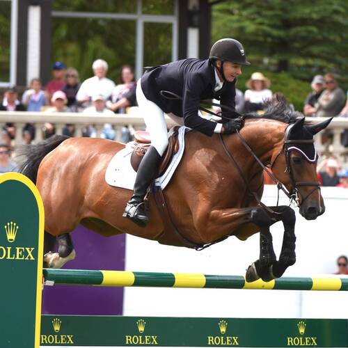 Over 250 Horses for the Spruce Meadows 'Pan American' CSI5* presented by Rolex